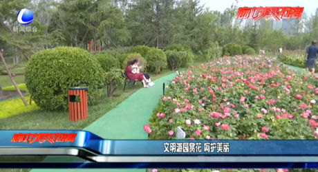 文明游園賞花 呵護美麗