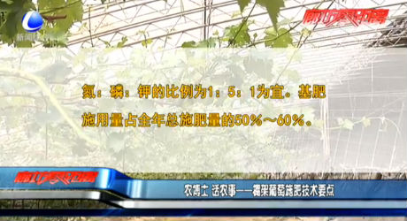 農(nóng)博士 話農(nóng)事——棚架葡萄施肥技術(shù)要點(diǎn)