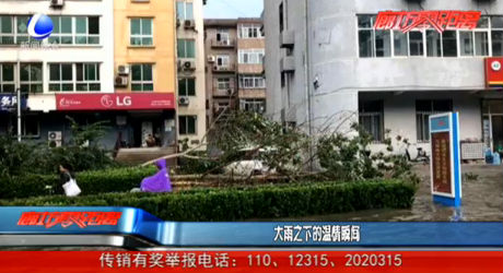 大雨之下的溫暖瞬間