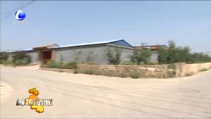 香河縣蔣新屯鎮(zhèn)李莊村加速推進美麗鄉(xiāng)村建設