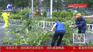 綜合執(zhí)法局冒雨清理倒伏樹木 及時疏導保證市民通行安全
