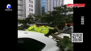 雨天大樹傾倒砸轎車 交警第一時間救人