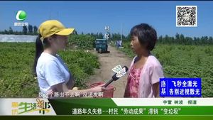 道路年久失修——村民“勞動(dòng)成果”滯銷(xiāo)“變垃圾”