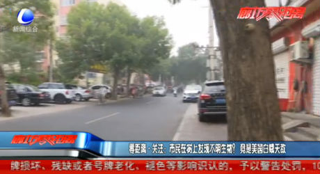 零距離關(guān)注:市民在樹(shù)上發(fā)現(xiàn)不明生物?竟是美國(guó)白蛾天敵