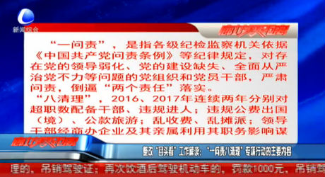 整改“回頭看”工作解讀：“一問責(zé)八清理”專項行動的主要內(nèi)容