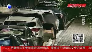 路邊停車圖方便 車主損失近萬(wàn)元