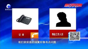 窗前愛(ài)竹突然被砍 居民痛惜要說(shuō)法