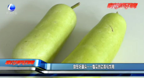 食在好源頭——瓠瓜的功效與作用