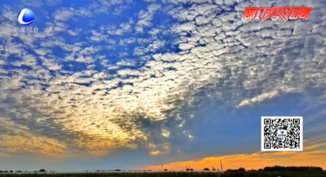 天空出現(xiàn)“魚鱗云” 美景