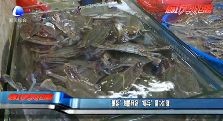 “蟹將”粉墨登場 “蝦兵”量少價漲