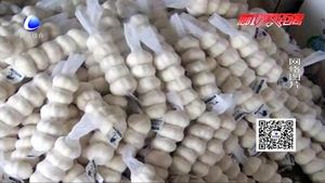 拉蒜車“綠色通道”通不過？工作人員：干皮大蒜有別于鮮蒜 不減免