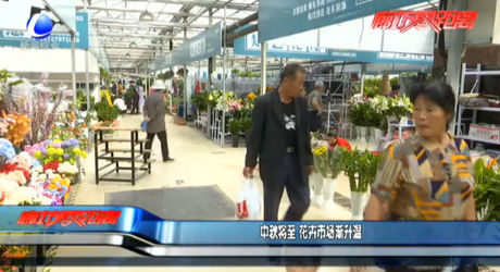中秋將至 花卉市場(chǎng)漸升溫