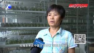 食在好源頭——葡萄藥理作用與禁忌