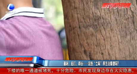 撞樹(shù)、拍打、辟谷......這些“土味”養(yǎng)生法靠譜嗎？