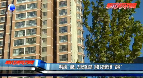 零距離·熱線：大風(fēng)過墻皮落 停樓下的愛車遭“毀容”