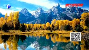 秋色漸濃 錯(cuò)峰出行正當(dāng)時(shí)