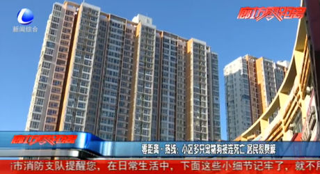 零距離·熱線：小區(qū)多只寵物狗接連死亡 居民很費(fèi)解