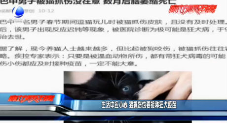 生活中應(yīng)小心 貓抓傷也要接種狂犬疫苗