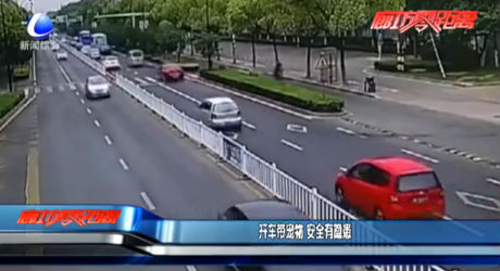 開(kāi)車帶寵物 安全有隱患