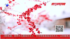 今日立冬：北風(fēng)潛入悄無蹤 未品秋濃已立冬