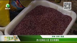 赤小豆和紅小豆 您分得清嗎？