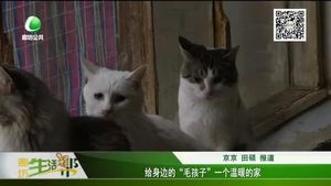 給身邊的“毛孩子”一個溫暖的家