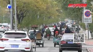 交通違法曝光臺(tái)：非機(jī)動(dòng)車逆行“太任性”