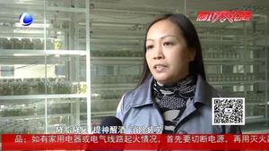 食在好源頭——百香果的食用價值