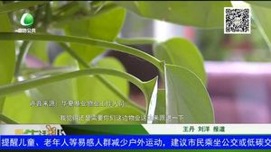 樓上漏水 樓下遭殃