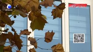 本周氣溫小幅波動(dòng) 周中期將現(xiàn)小雨天氣