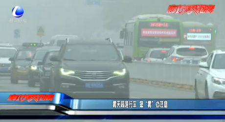 霧天高速行車 您“霧”必注意