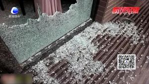 廊坊三大街店鋪被砸 盜賊2分鐘結(jié)束“戰(zhàn)斗”