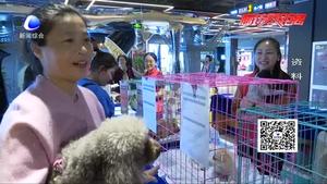 共享寵物狗不想養(yǎng)了就退 你怎么看？