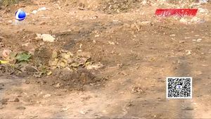 九州四村修起柏油路 村民受益笑開顏