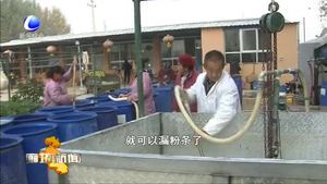 做紅薯深加工大文章 發(fā)展生態(tài)農(nóng)業(yè)促農(nóng)民增收