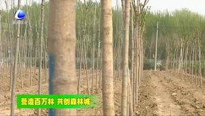 我市加大秋冬季造林力度 打造京津保平原生態(tài)過(guò)渡帶核心區(qū)