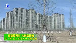 營造百萬林 共創(chuàng)森林城
