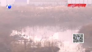 大片污水越積越多 周圍居民人心惶惶