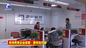 人行廊坊中心支行強(qiáng)化金融服務(wù)功能 助推民營(yíng)企業(yè)快速發(fā)展