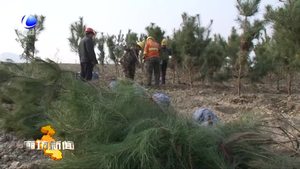 系列報(bào)道《治山記》（四）涅槃重生 持續(xù)發(fā)展