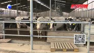 智慧牧業(yè) 打造“全民共養(yǎng)”新模式