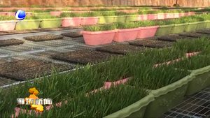 香河縣安平鎮(zhèn)舉辦憲法知識(shí)競(jìng)賽