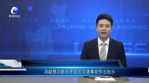 馮韶慧對(duì)廊坊開(kāi)發(fā)區(qū)交通事故作出批示