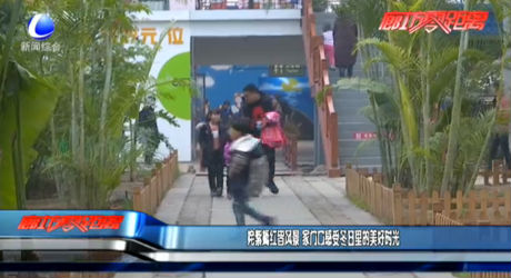 姹紫嫣紅皆風(fēng)景 家門口感受冬日里的美好時光