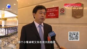 解碼提案議案：去年兩會建議和提案落地有回響