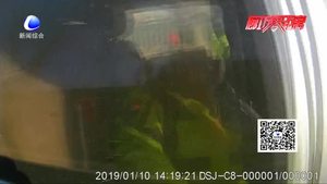 朋友圈買煙花  非法運輸被查