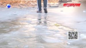 零距離·熱線：轎車過(guò)橋洞掉進(jìn)冰窟窿 司機(jī)希望設(shè)置警示牌