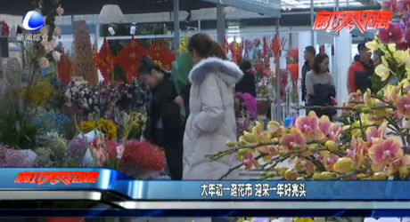 大年初一逛花市 迎來一年好兆頭