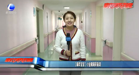 【新年寶寶】小金豬前來報道