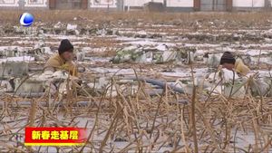 香河縣慶功臺美麗鄉(xiāng)村譜新篇